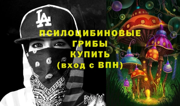 apvp Верхний Тагил