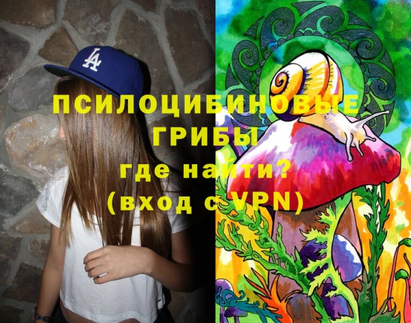 apvp Верхний Тагил