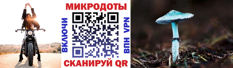 Галлюциногенные грибы мицелий  где продают   Сенгилей 